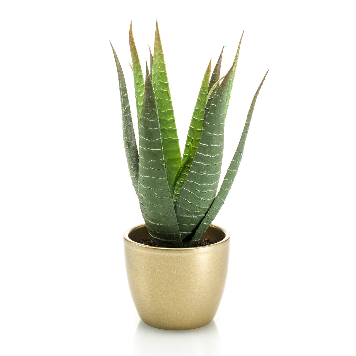Artificial plant Coral cactus Succulent green with decorative gold pot