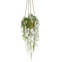 Artificial plant Climbing fig Rhipsalis green with decorative gold pot