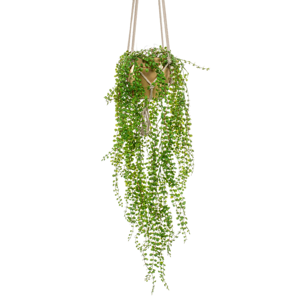 Artificial plant Ficus pumila green with decorative gold pot