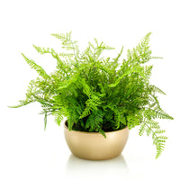 Artificial plant Aloe vera fern green with decorative gold pot