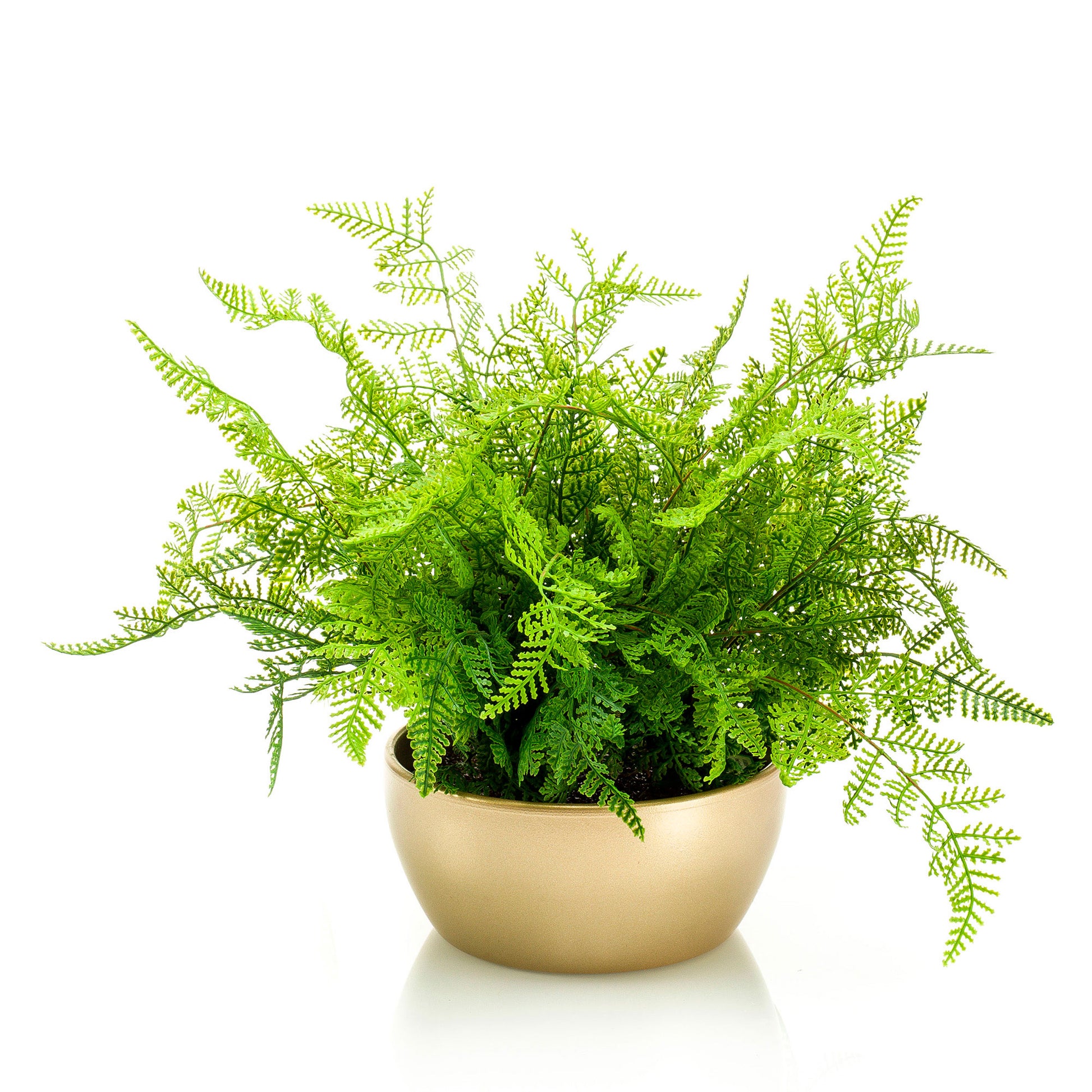 artificial plants in gold pot Artificial plant Aloe vera fern green with decorative gold pot