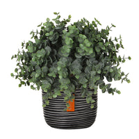 Eucalyptus artificial plant incl. black decorative pot