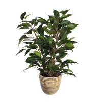 Ficus 'Natasja' green artificial plant incl. brown decorative pot
