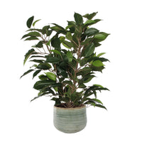 Ficus 'Natasja' green artificial plant incl. green decorative pot