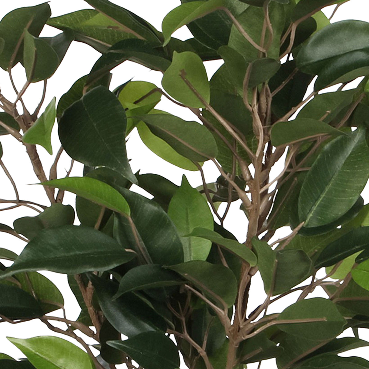 Ficus 'Natasja' green artificial plant incl. green decorative pot