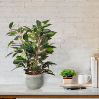 Ficus 'Natasja' green artificial plant incl. green decorative pot
