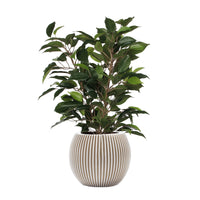 Ficus 'Natasja' green artificial plant incl. white decorative pot