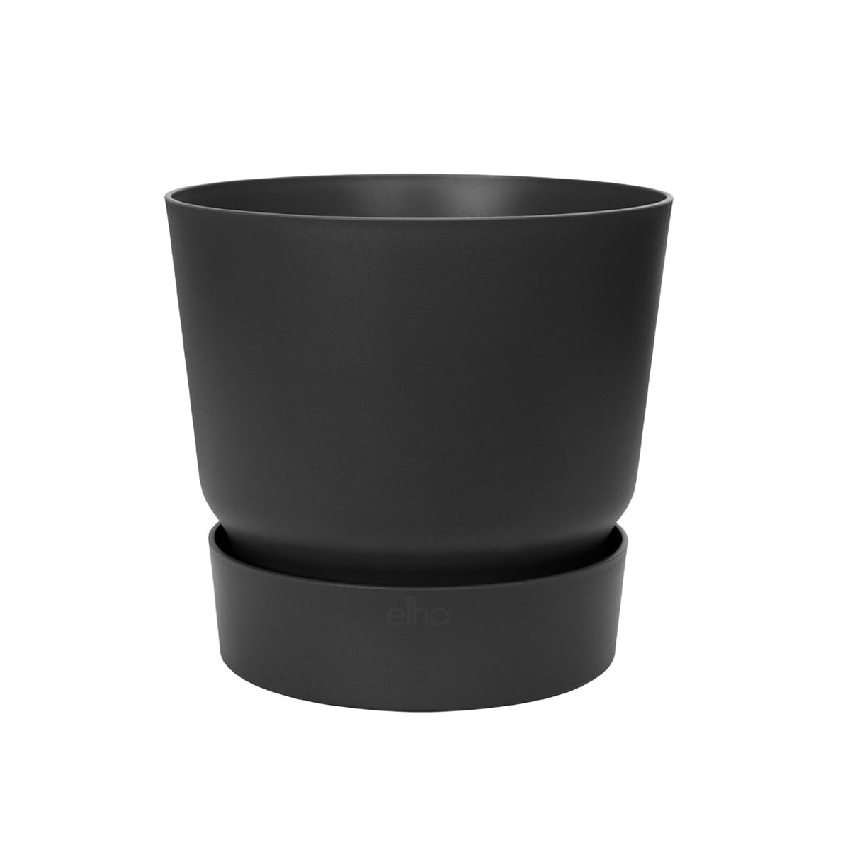 Artificial green rubber plant incl. decorative black pot