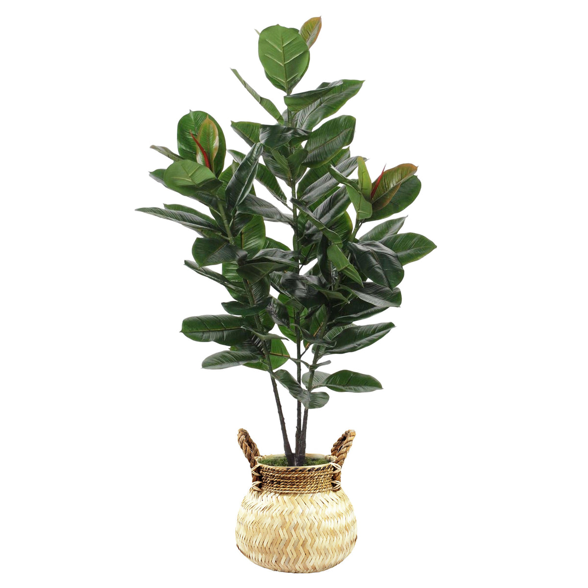 Artificial green rubber plant incl. brown basket