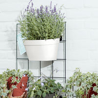 Elho Flower Pot 'Loft urban Green wall ' oval white with Elho rack - Outdoor pot