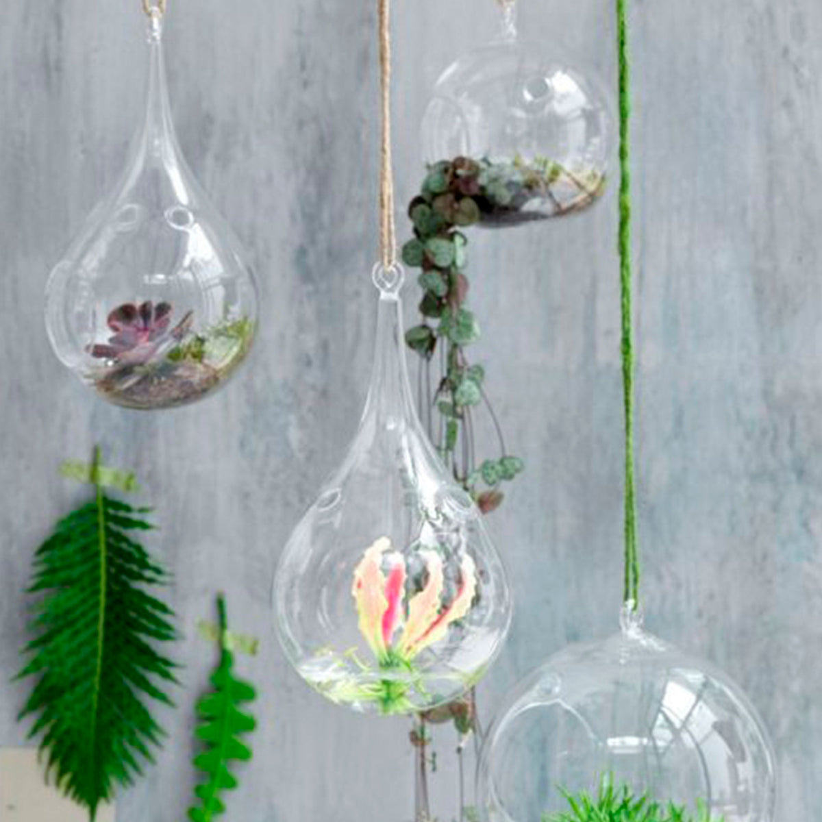 2x Mica Glass hanging pot Sil Bulb - Indoor pot