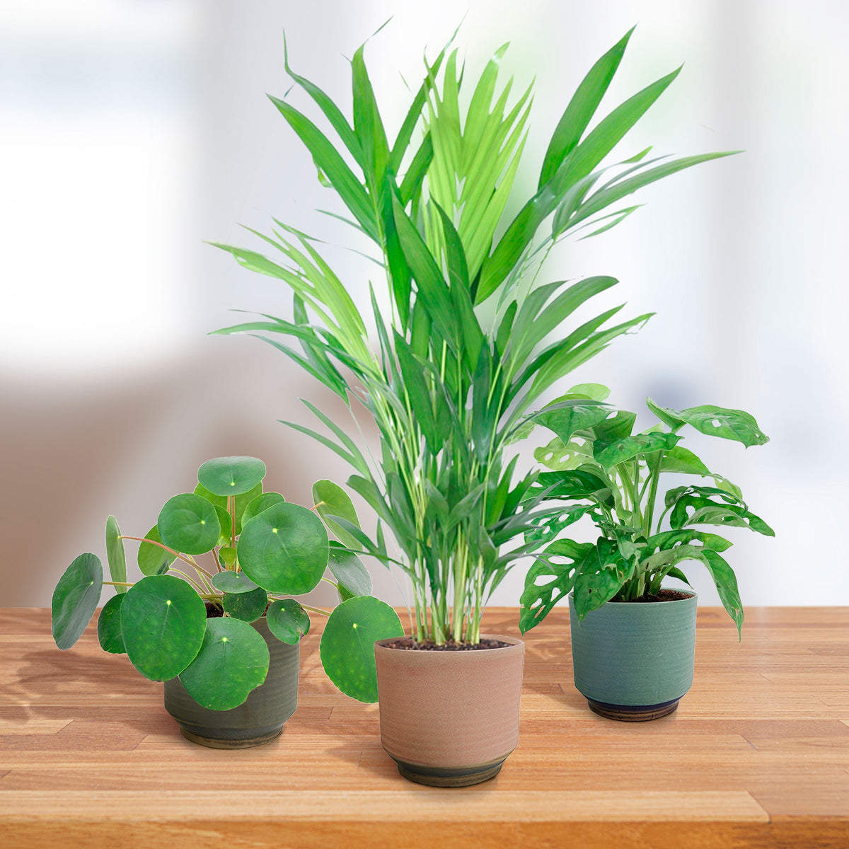 3x TS Flower Pot Suze round blue-brown - Indoor pot
