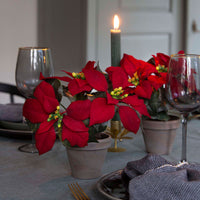 Artificial poinsettia Poinsettia red-green