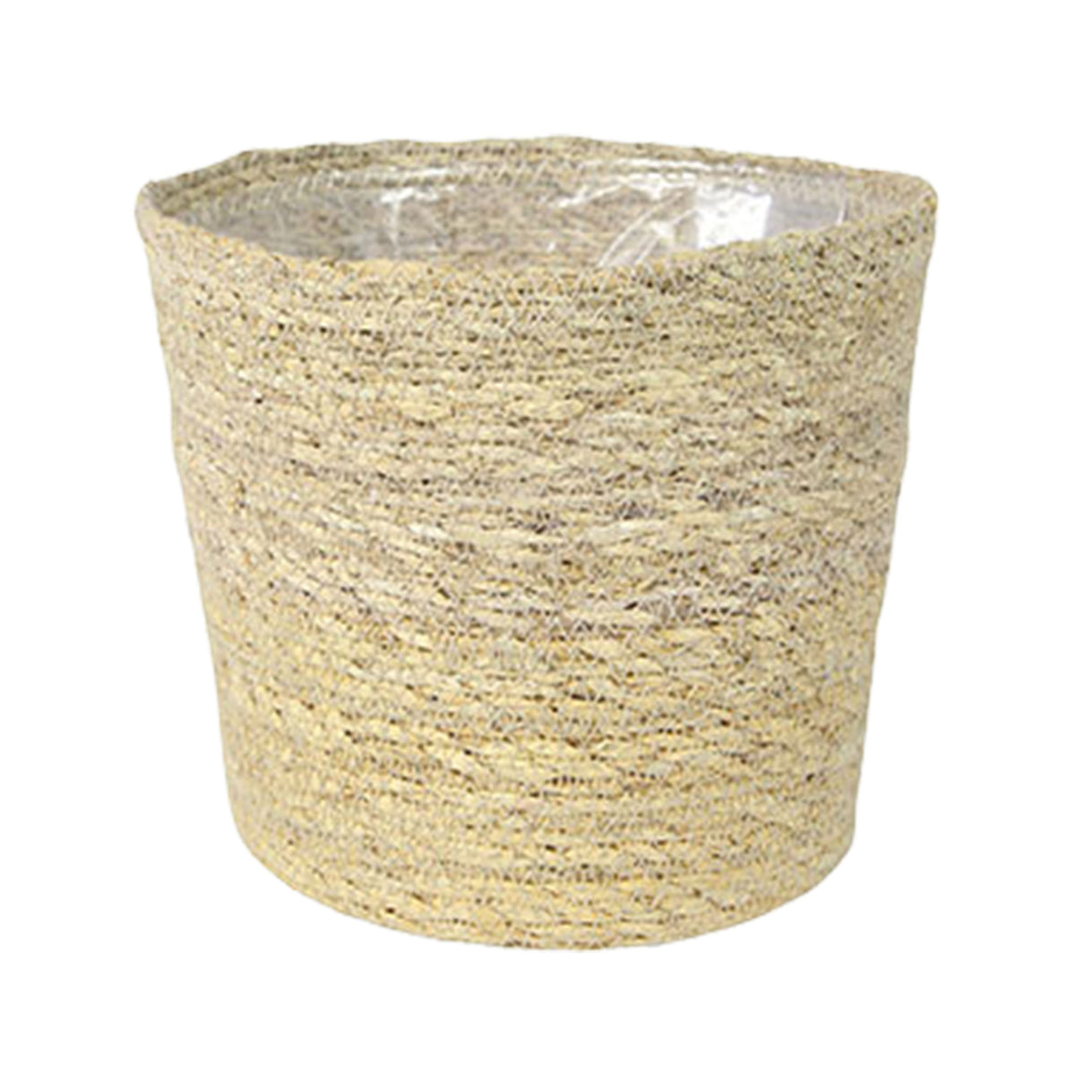 Coconut palm Cocos nucifera incl. natural-coloured wicker basket