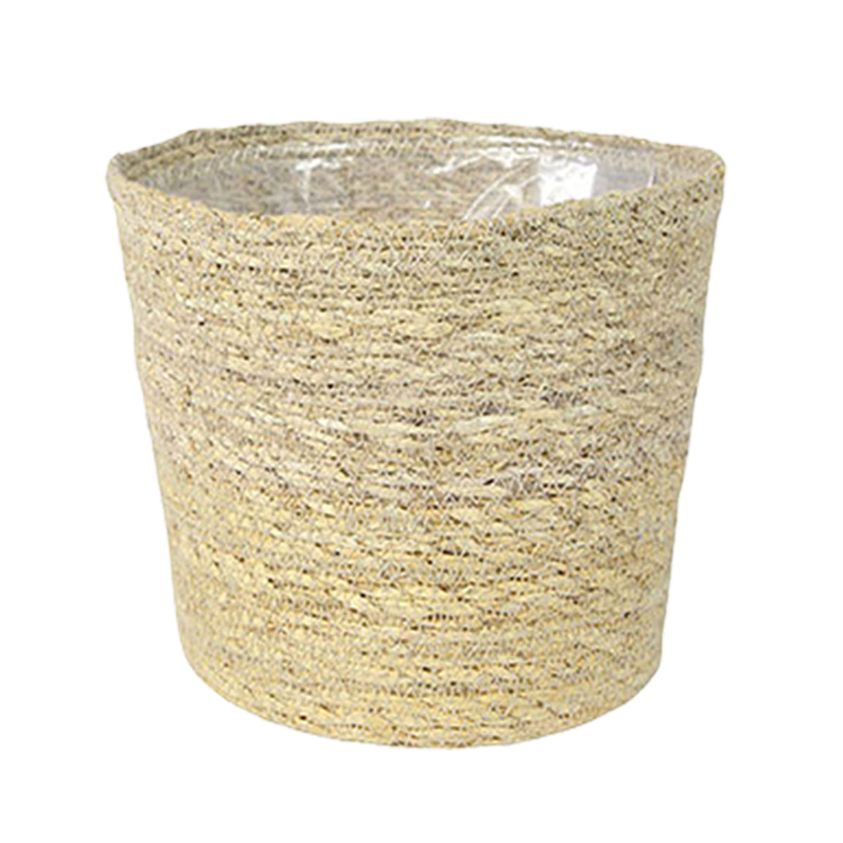 Indoor palm Howea forsteriana XL with natural-coloured wicker basket