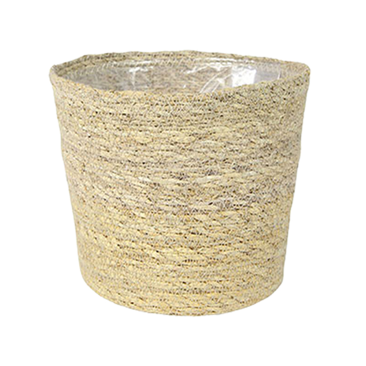 Weeping fig Ficus benjamina 'Danielle' with natural-coloured wicker basket