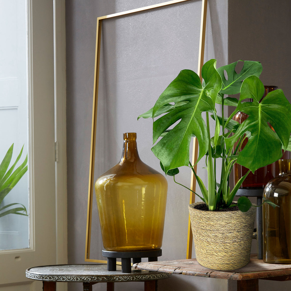 Swiss cheese plant Monstera deliciosa with natural-coloured wicker basket