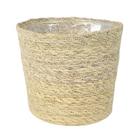 Fan palm Livistona rotundifolia with natural-coloured wicker basket