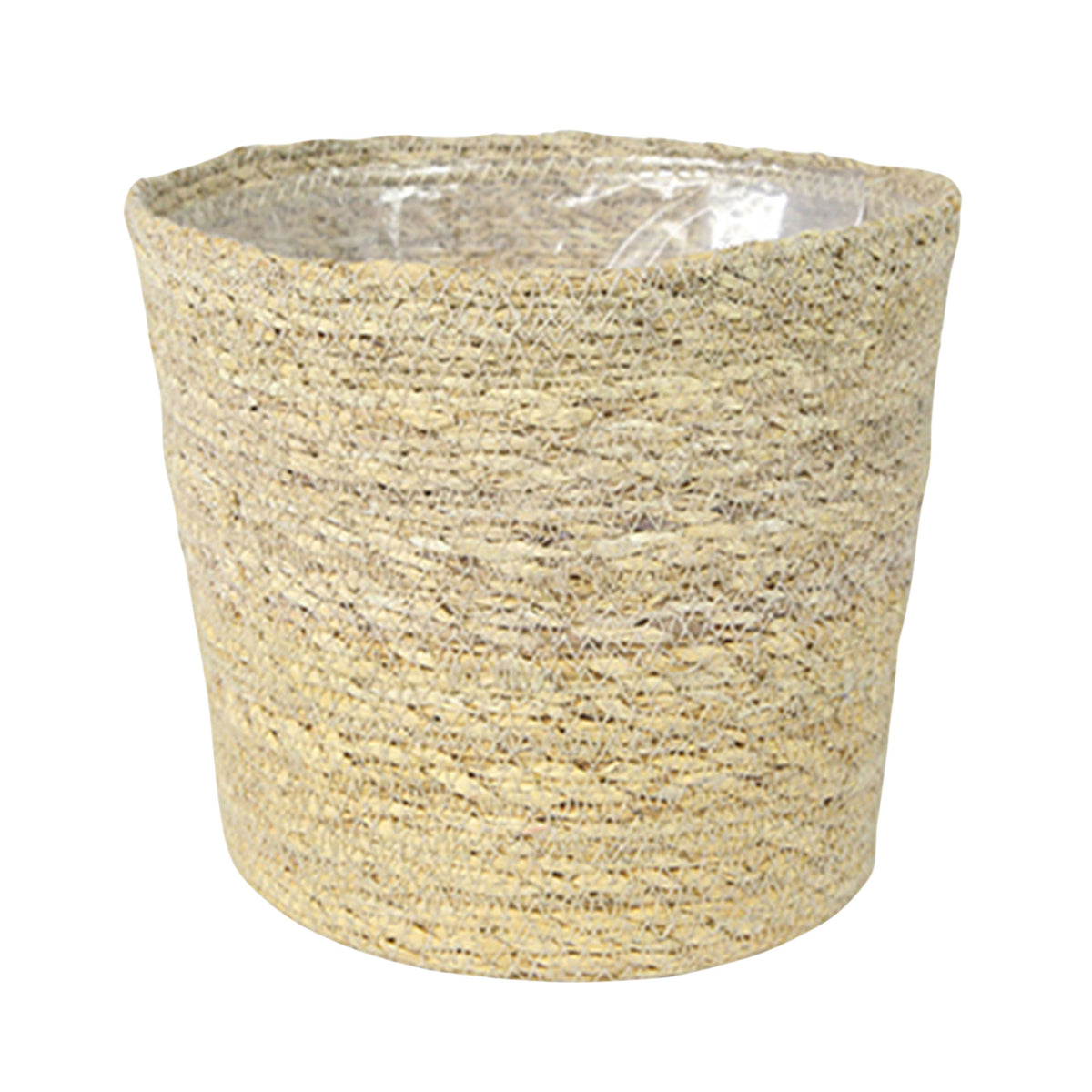 Fan palm Livistona rotundifolia with natural-coloured wicker basket