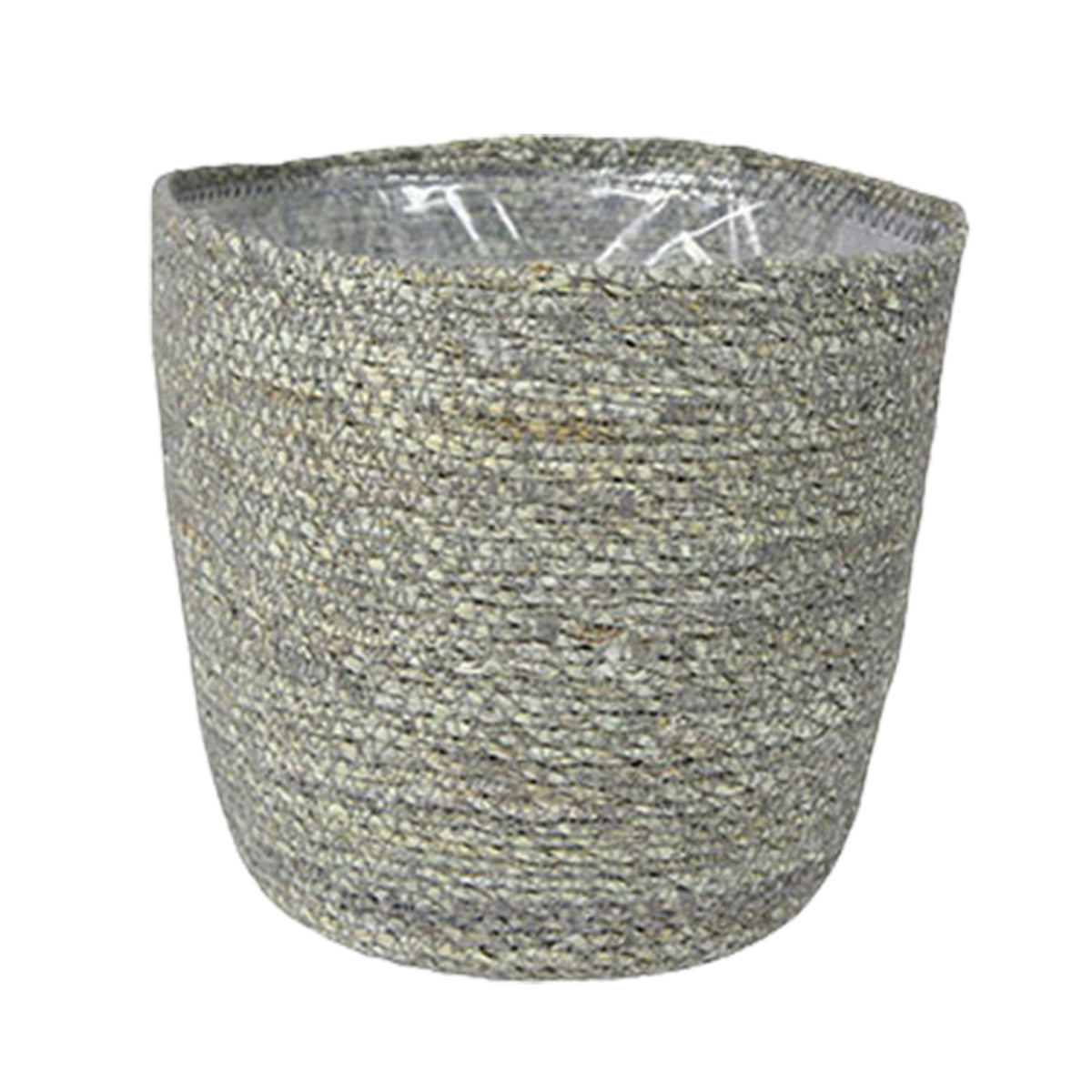 ZZ Plant Zamioculcas zamiifolia incl. grey wicker basket