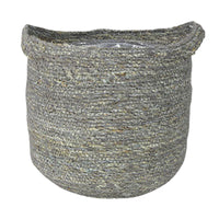 Fiddle-leaf fig plant Ficus lyrata with grey wicker basket