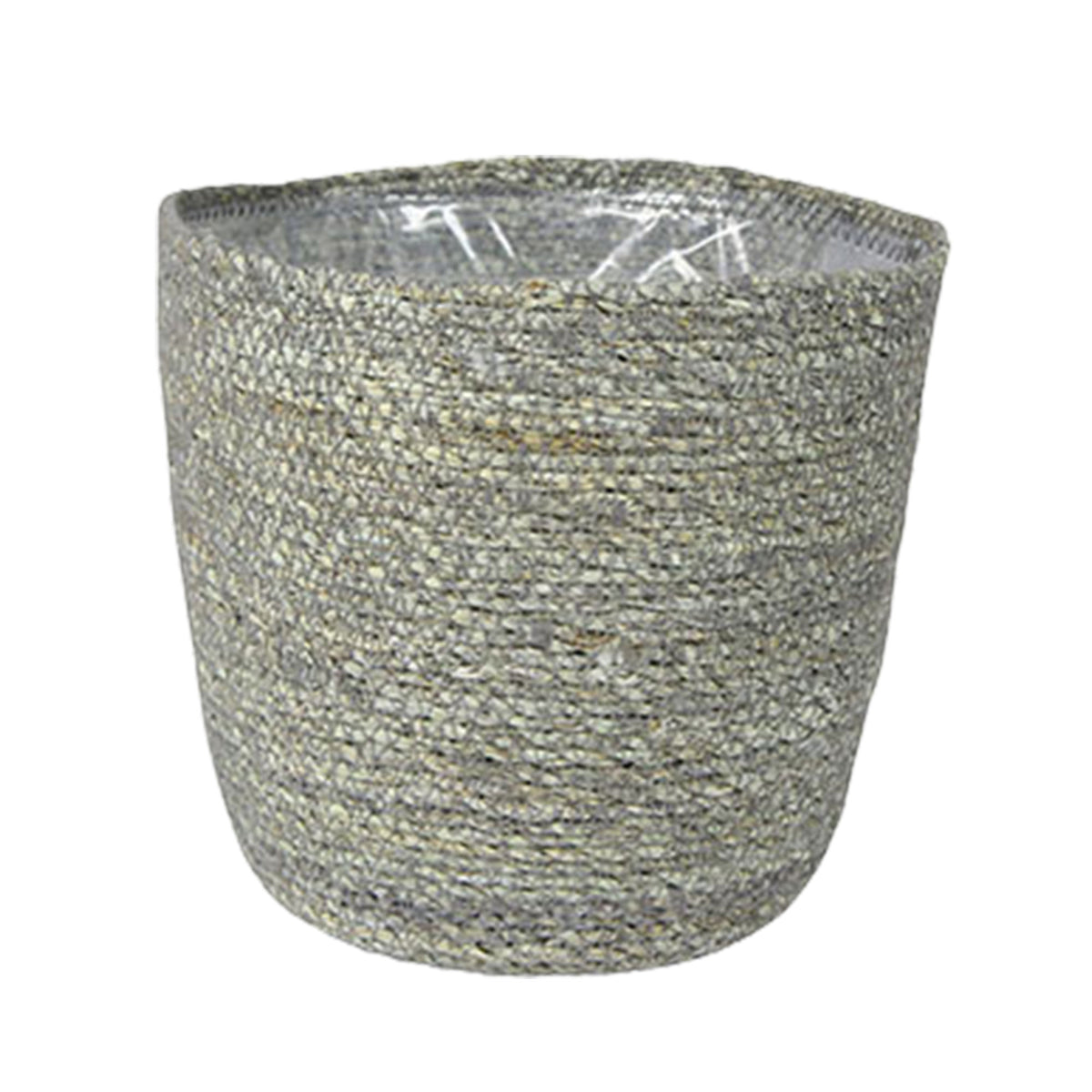 Arcea palm Dypsis Lutescens