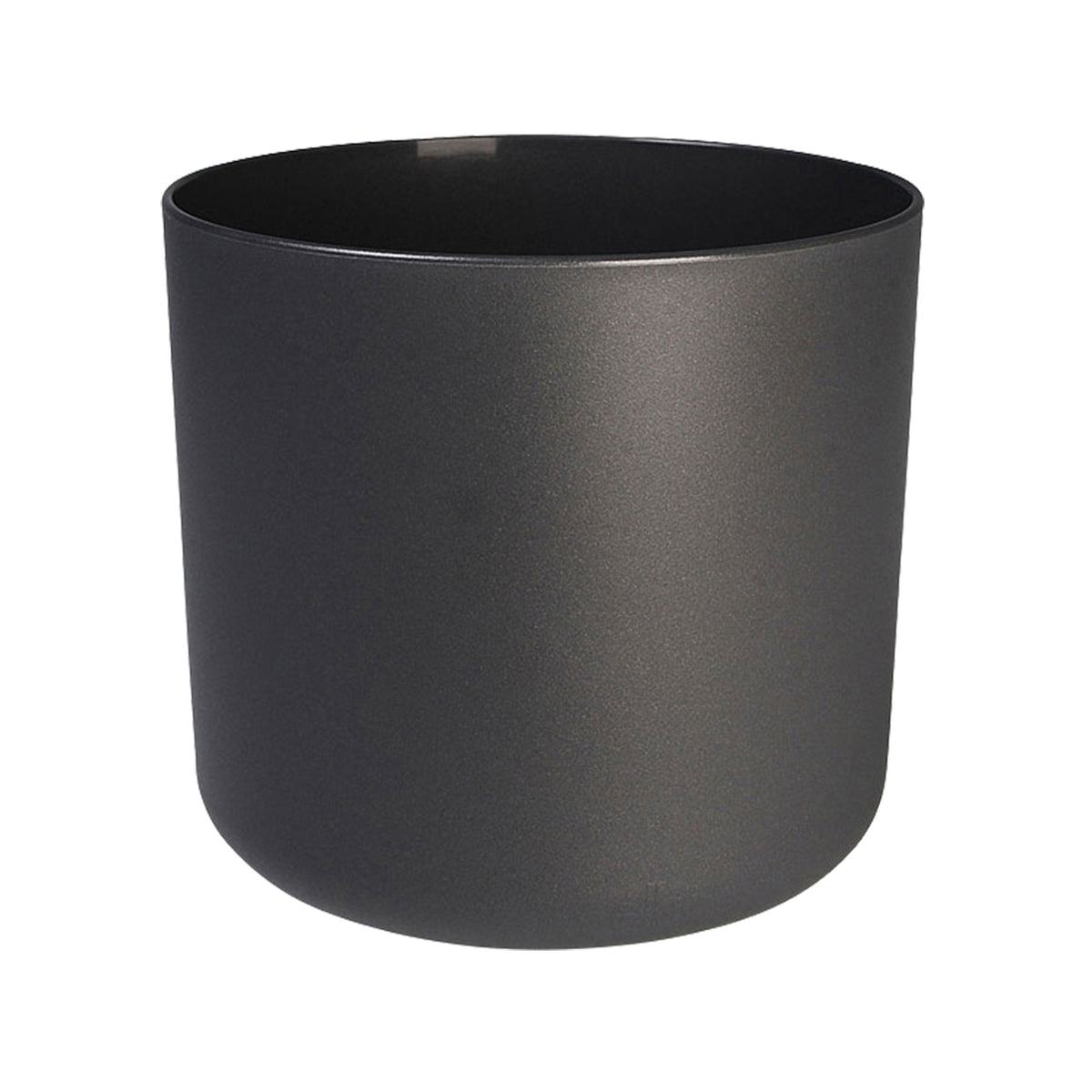 Coconut palm Cocos nucifera incl. decorative pot