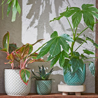 Mica flower pot, round 'Daan' green — indoor pot