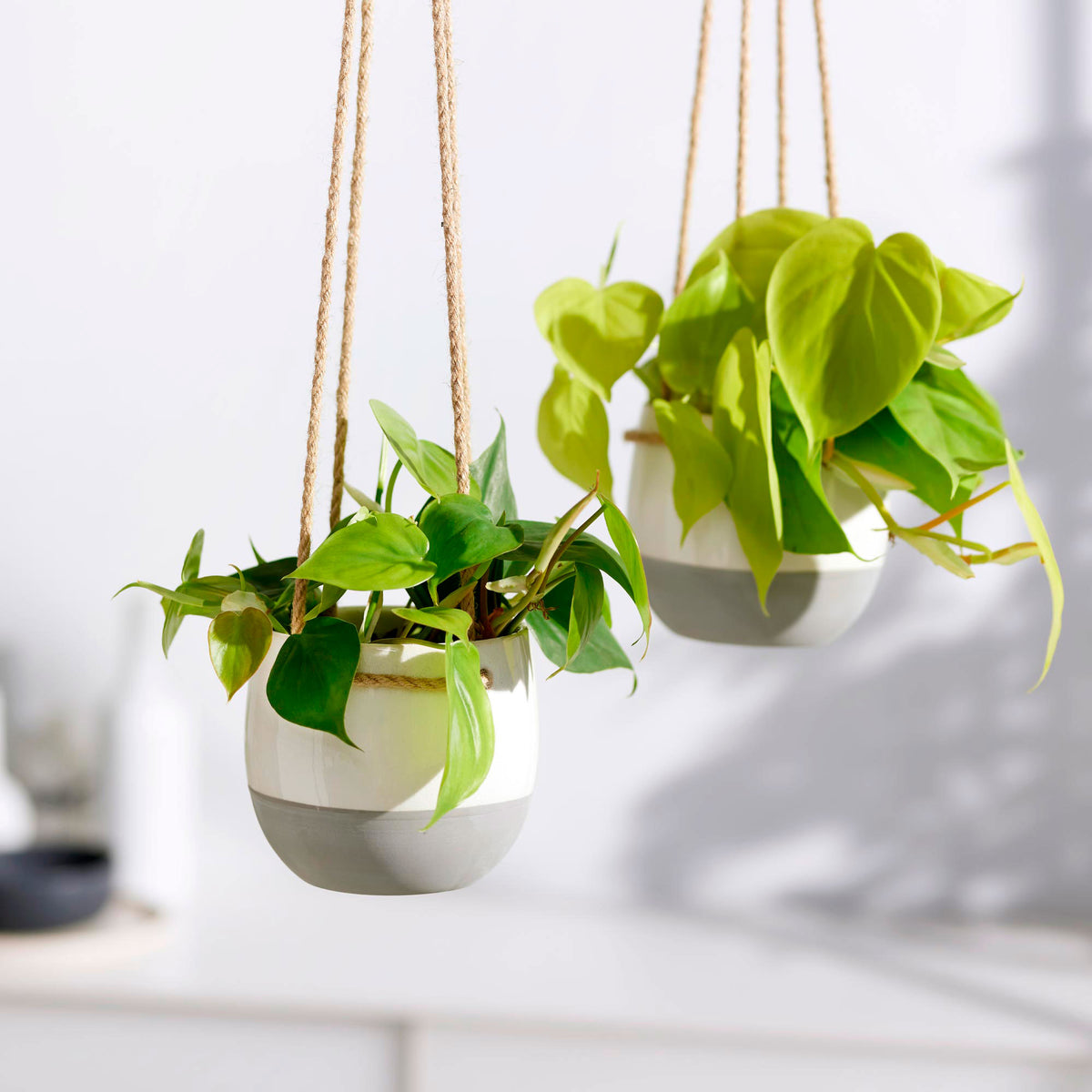 Mica hanging pot, round 'Resa' white — indoor pot