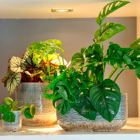 TS Decorative pot Issa blue