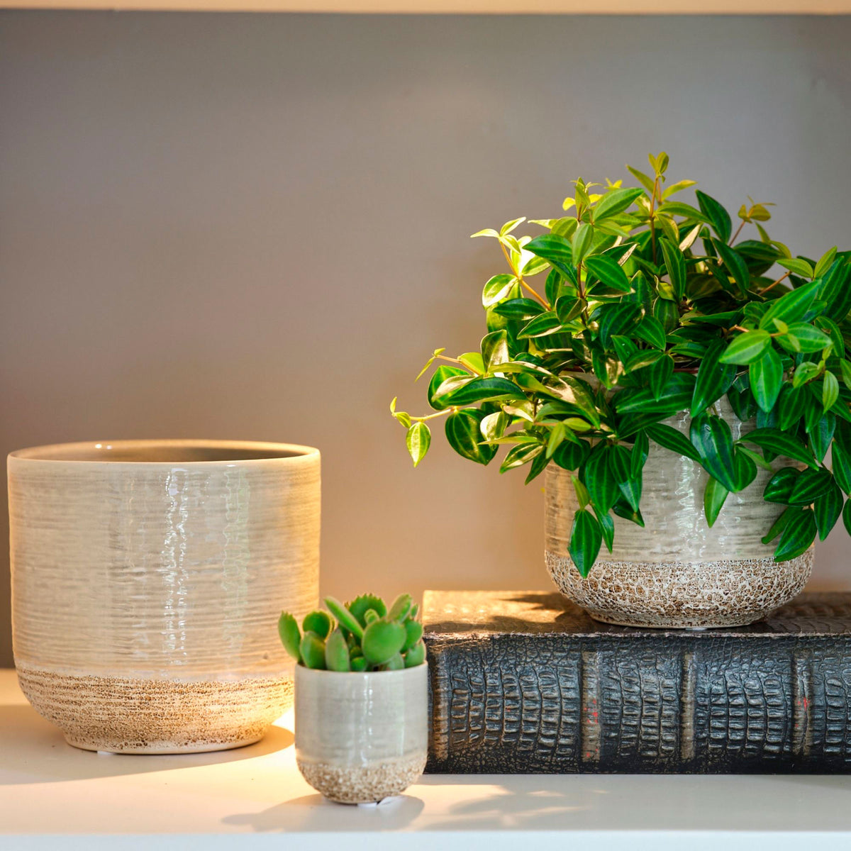 Ter Steege TS Ornamental Pot Issa grey
