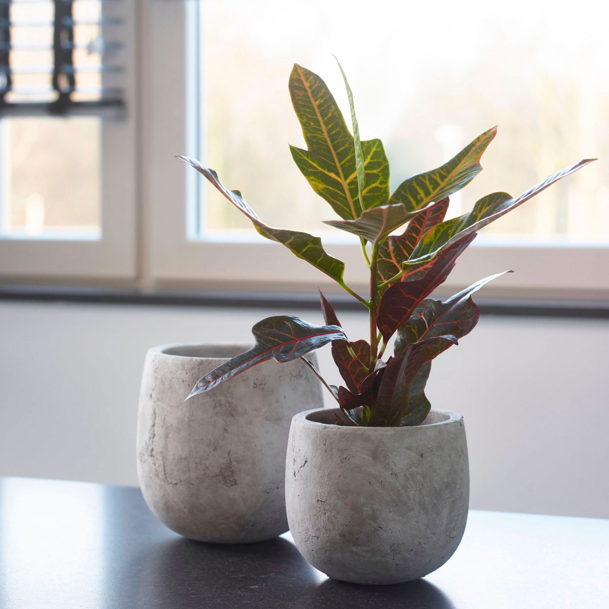 TS Decorative pot Amber grey