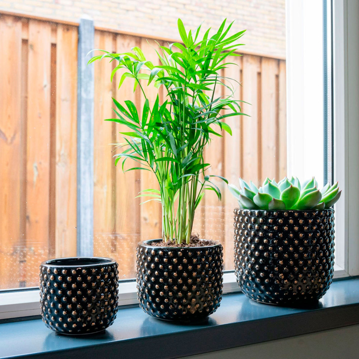 TS Bolino black decorative pot