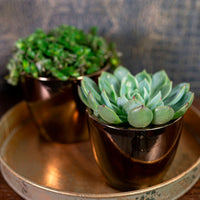 TS Sven gold decorative pot