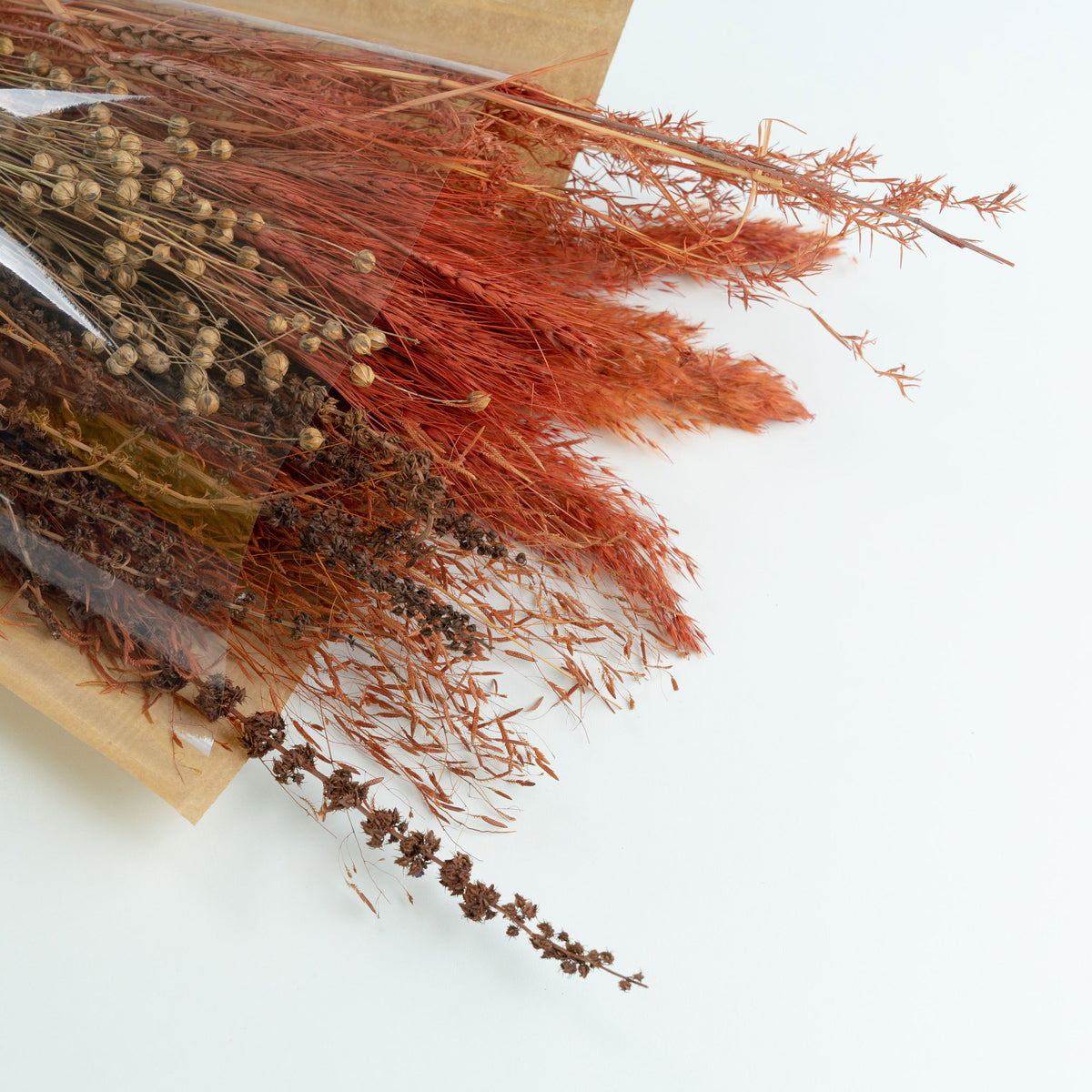 Dried flower bouquet Terracotta Brown