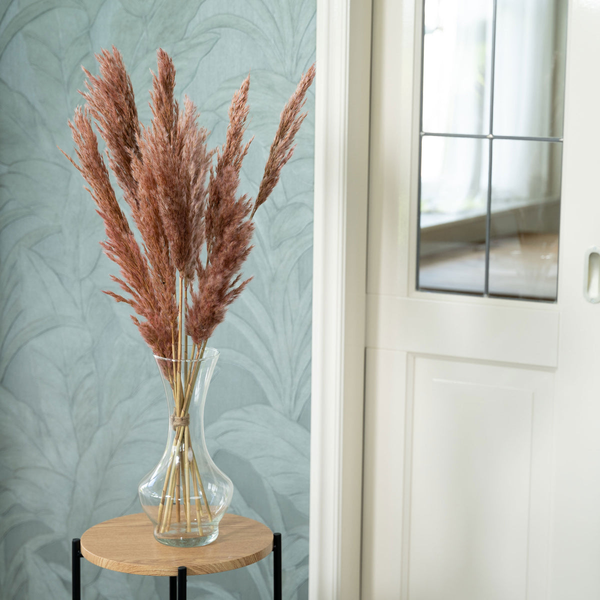 Dried flower plumes pink