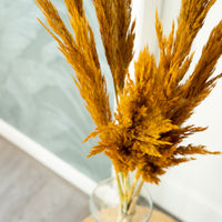 Dried flower plumes yellow