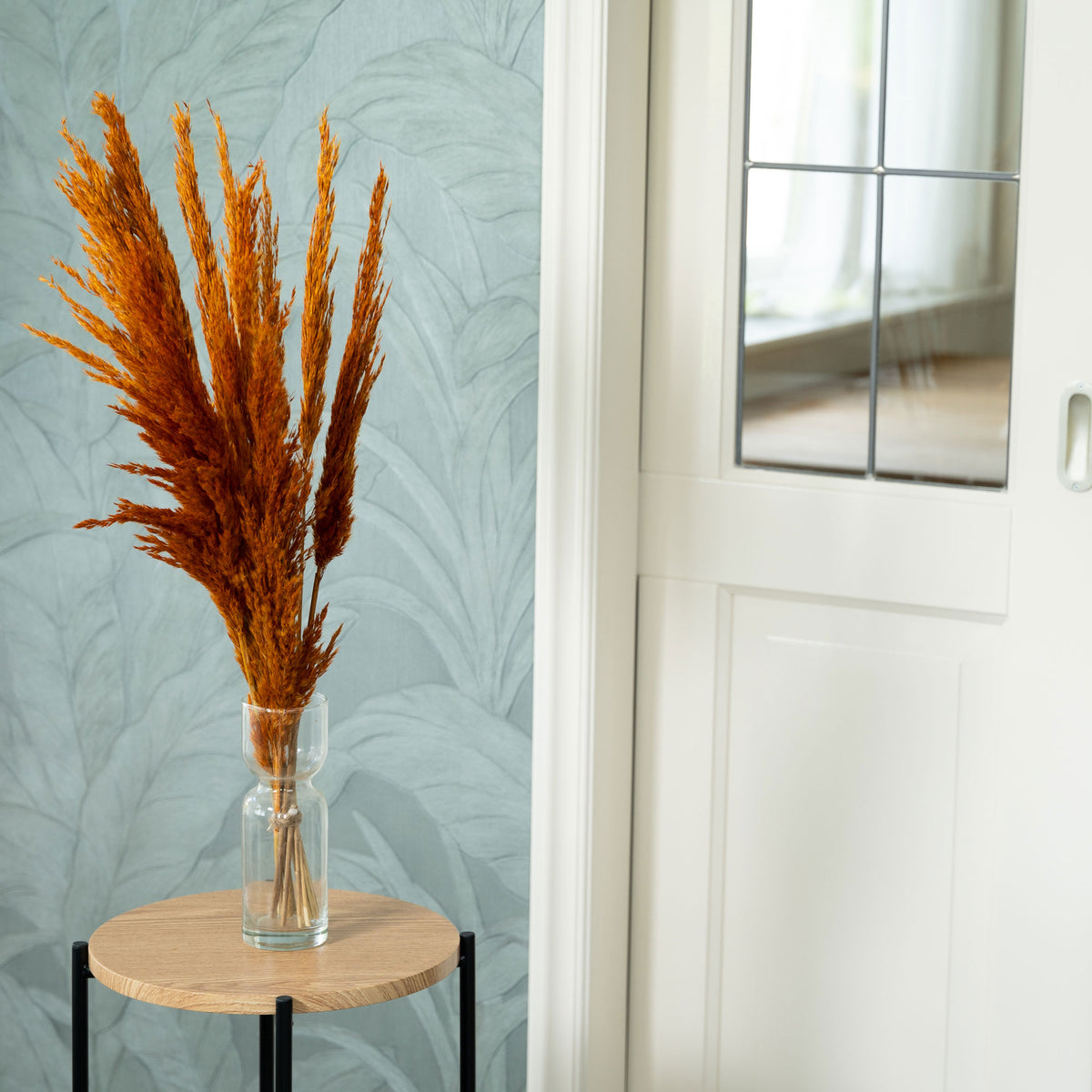 Dried flower plumes Terracotta