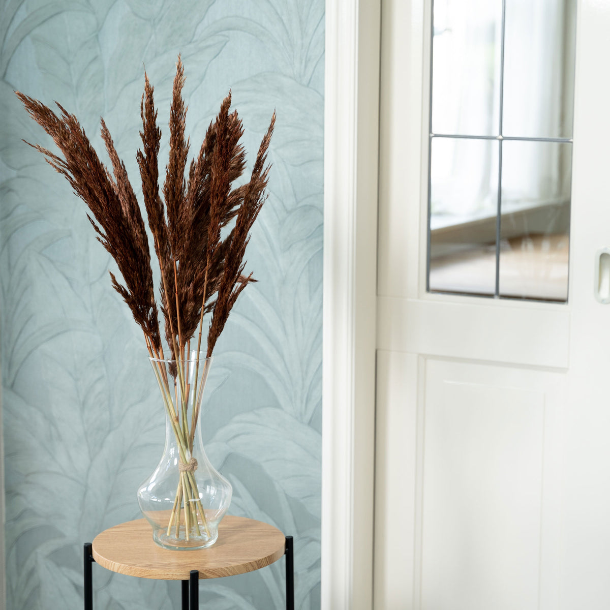 Dried flower plumes brown