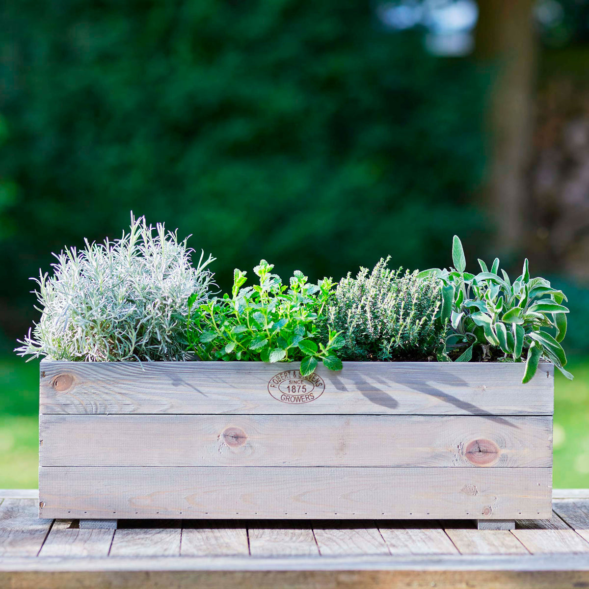 Planter, grey