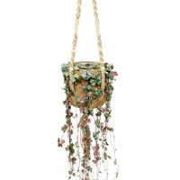 Chain of hearts Ceropegia woodii pink with brown hanging basket  - Hanging plant