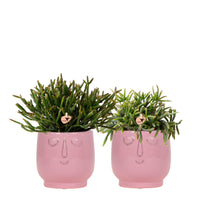 2x coral cactus — green set incl. happy face decorative pots