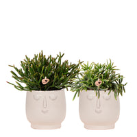 2x coral cactus — green set incl. white, happy face decorative pots