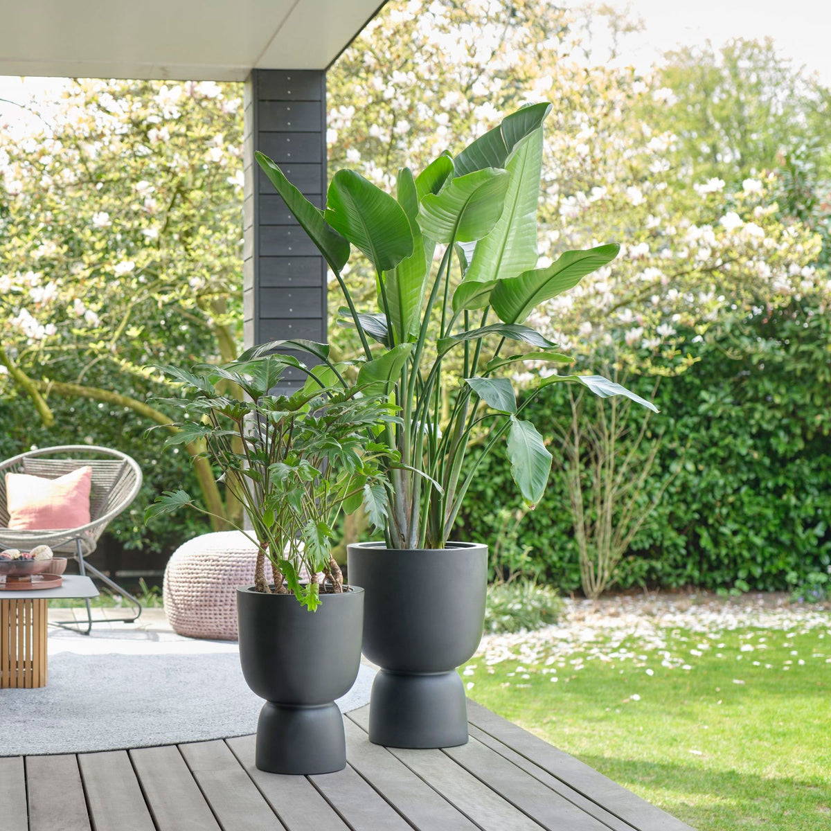 Elho pure coupe - Indoor and outdoor pot Black