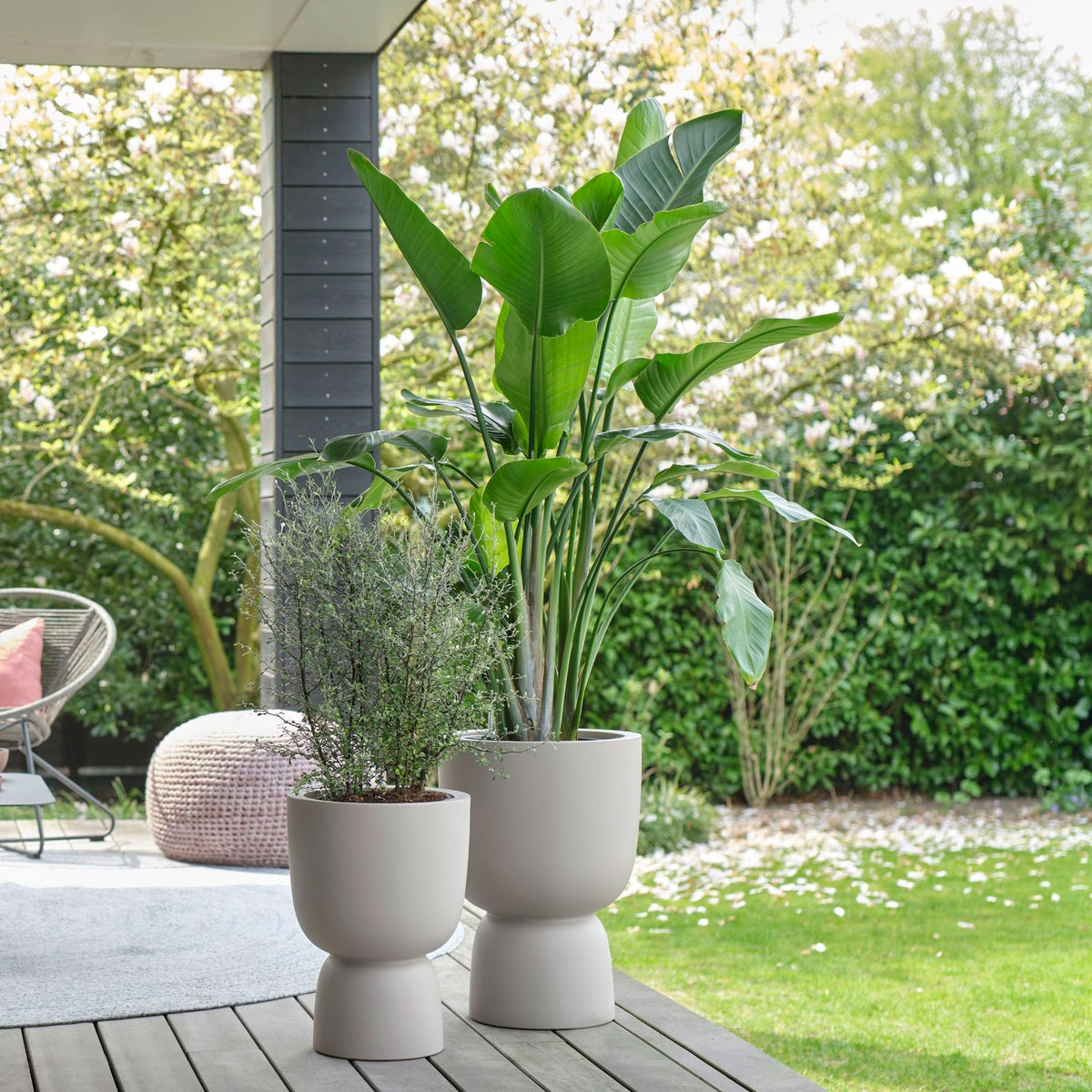 Elho Pure Coupe Beige - Indoor and outdoor pot Beige