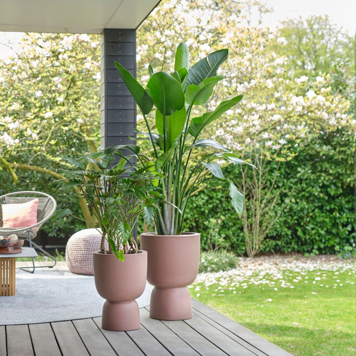 Elho pure coupe - Indoor and outdoor pot  Pink-Brown