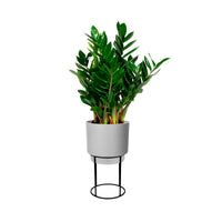 Elho b.for studio round with plant stand - Indoor pot Grey