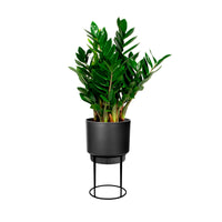 Elho b.for studio round with plant stand - Indoor pot Black