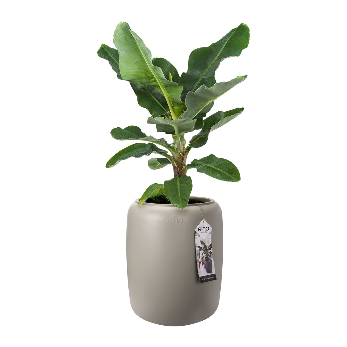 Elho Pure beads - Indoor and outdoor pot Beige