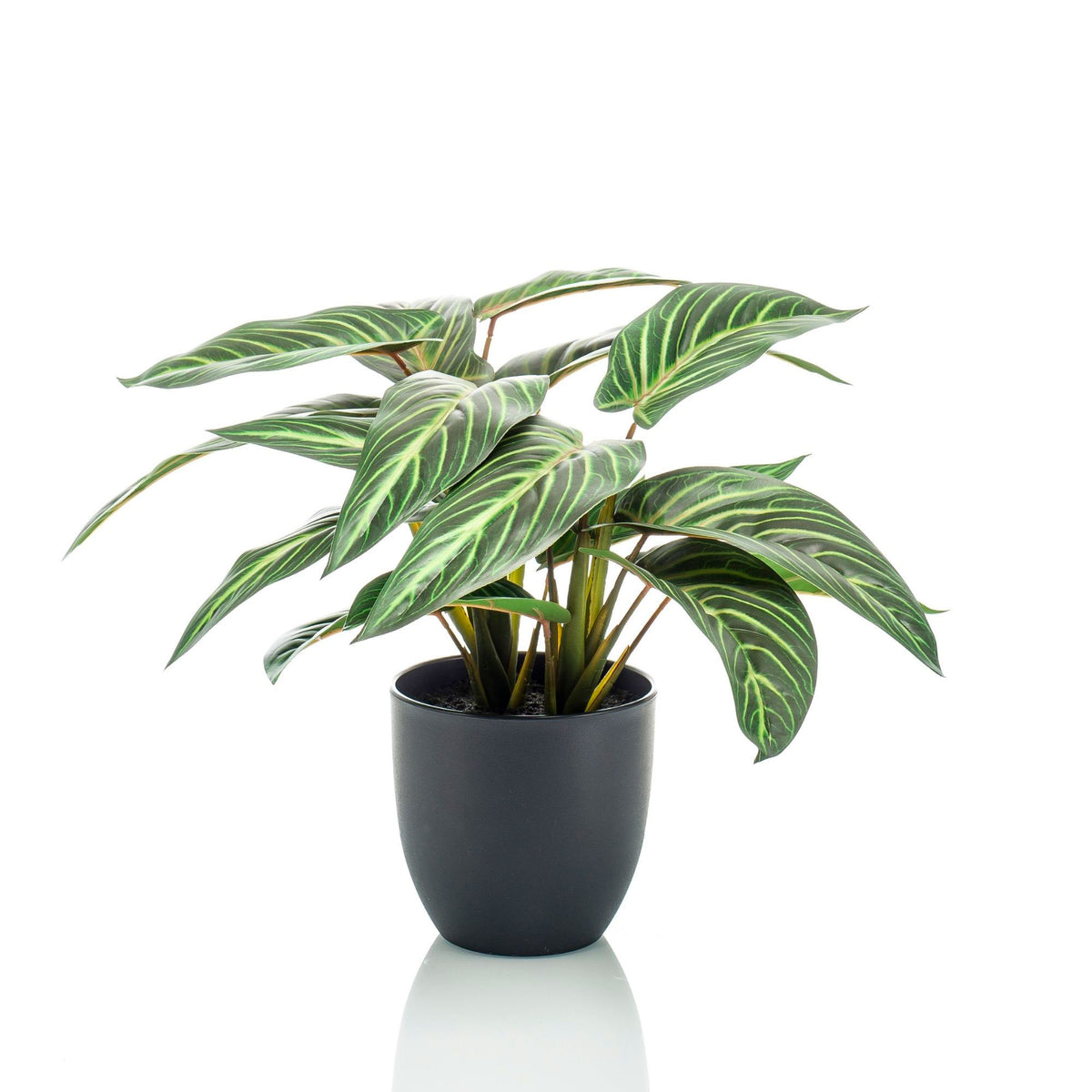 Artificial plant Calathea zebrina incl. decorative pot